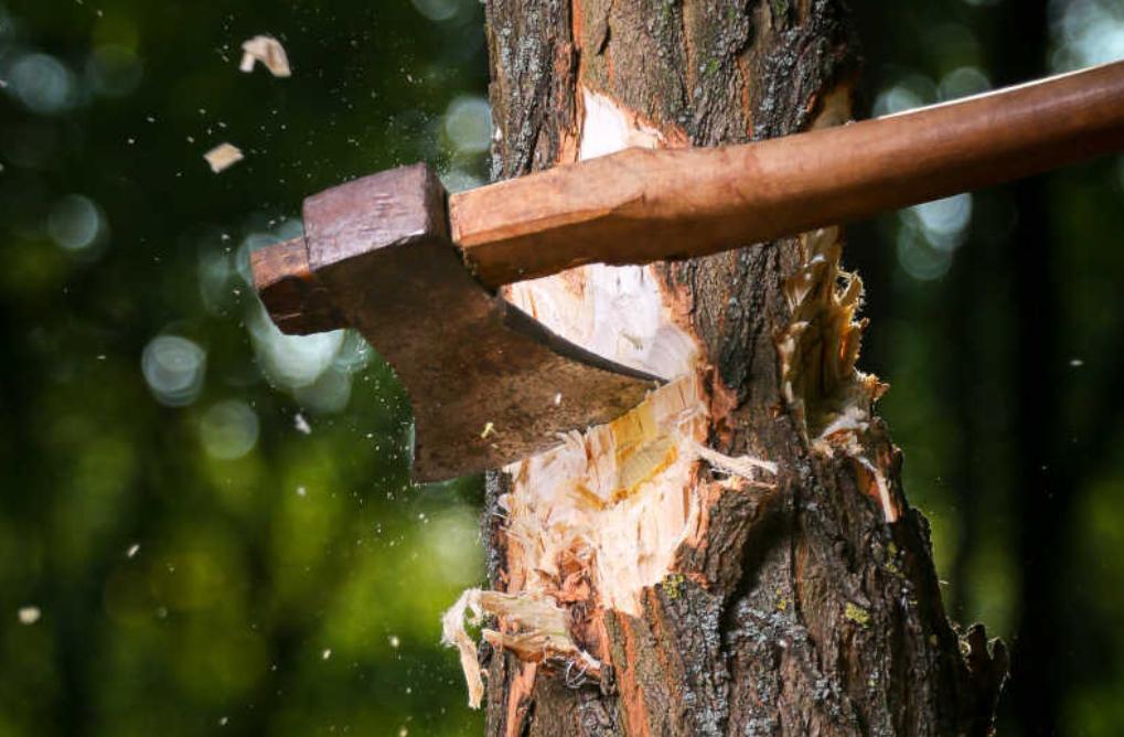 Why keep Malawi’s dead-weight vice presidency when Kamuzu’s model worked?