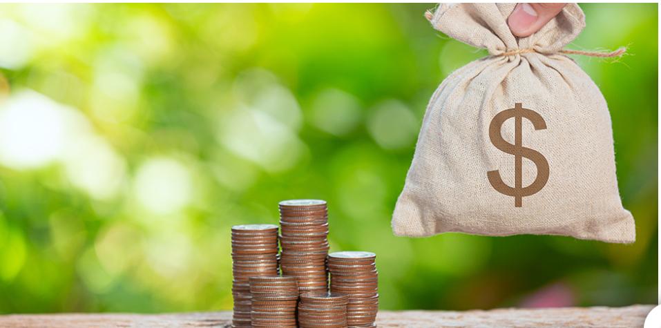 Malawi secures $45m loan for maize, pledges prudence to stabilize economy