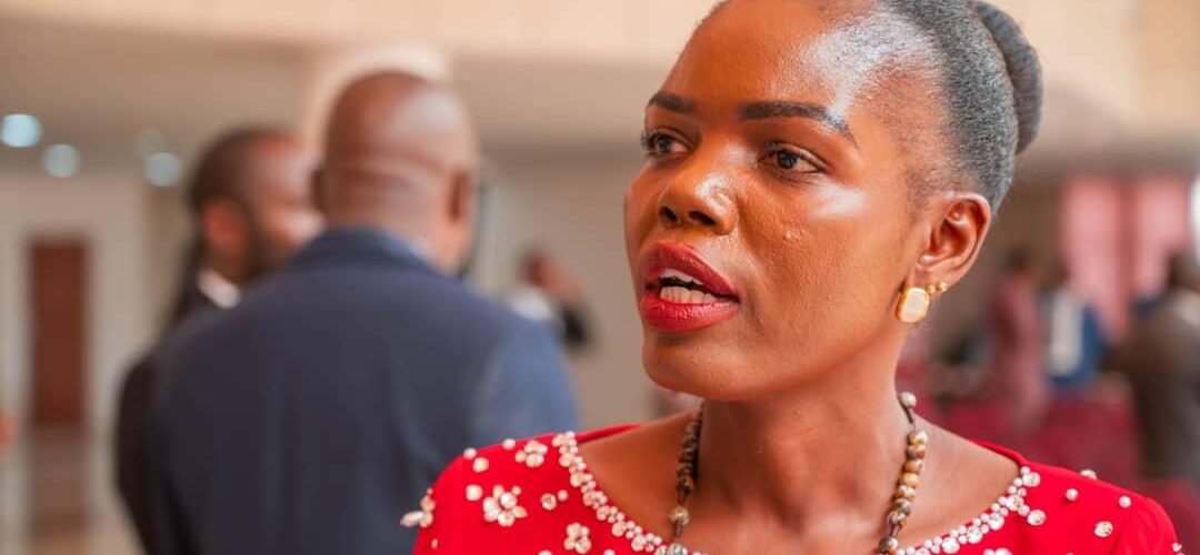 FUM pushes for inclusion of all farmers in Malawi’s FISP