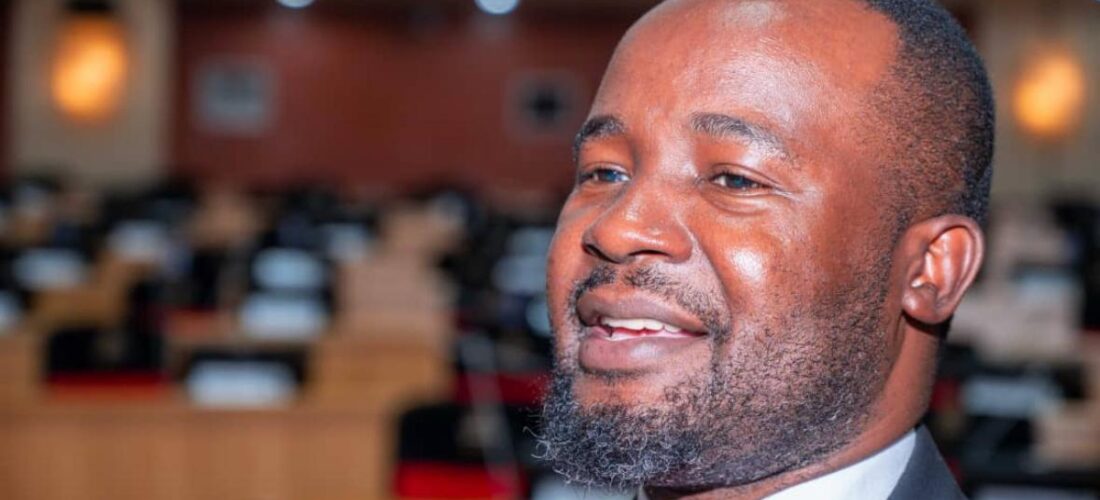 Gwengwe takes over budget committee, pledges crackdown on fiscal indiscipline