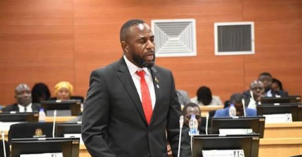 Parliament sends indigenous language petition to Legal Affairs Committee