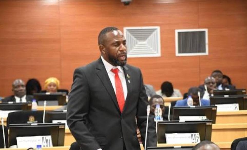 Parliament sends indigenous language petition to Legal Affairs Committee