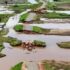 Floods didn’t fail Malawi, leadership did — Patrick Mwanza commentary on disaster preparedness and accountability