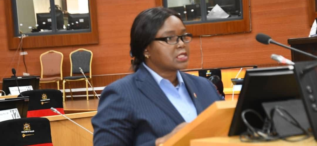 Malawi Mega Farms scandal: 938 defaulters named, including politicians