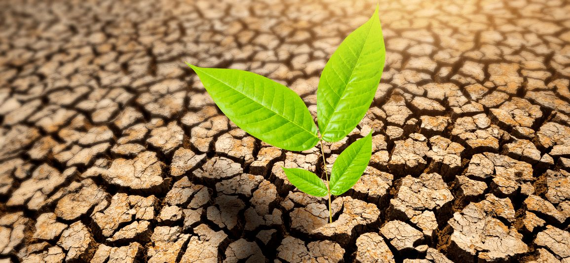 Malawi must integrate climate action in economic recovery, says CISONECC