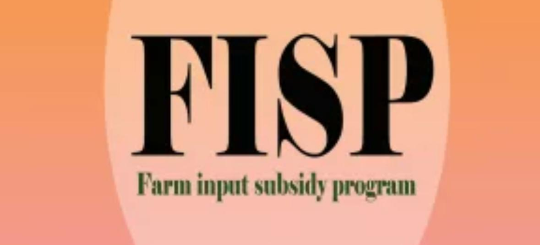 FISP rollout worrying as only 65% of beneficiaries access inputs — Experts