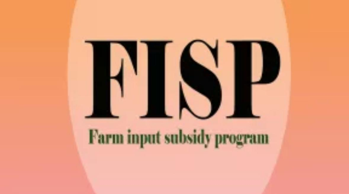 FISP rollout worrying as only 65% of beneficiaries access inputs — Experts