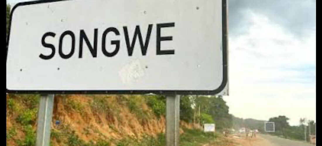 Malawi urged to fund Songwe border post to boost regional trade