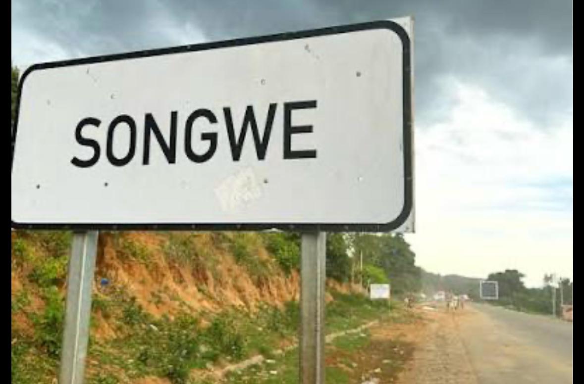 Malawi urged to fund Songwe border post to boost regional trade