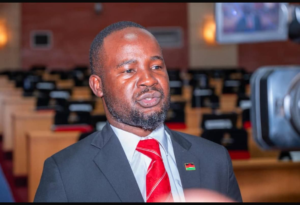 Sosten Gwengwe on Parliamentary committee pushes to defer seed import tax to 2027 and concerns over farmer affordability