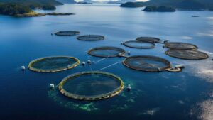 Lake Malawi’s fishing potential and the promise of a stronger blue economy for Malawi