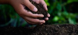 Malawi’s dirty soil problem and the organic fix through sustainable farming