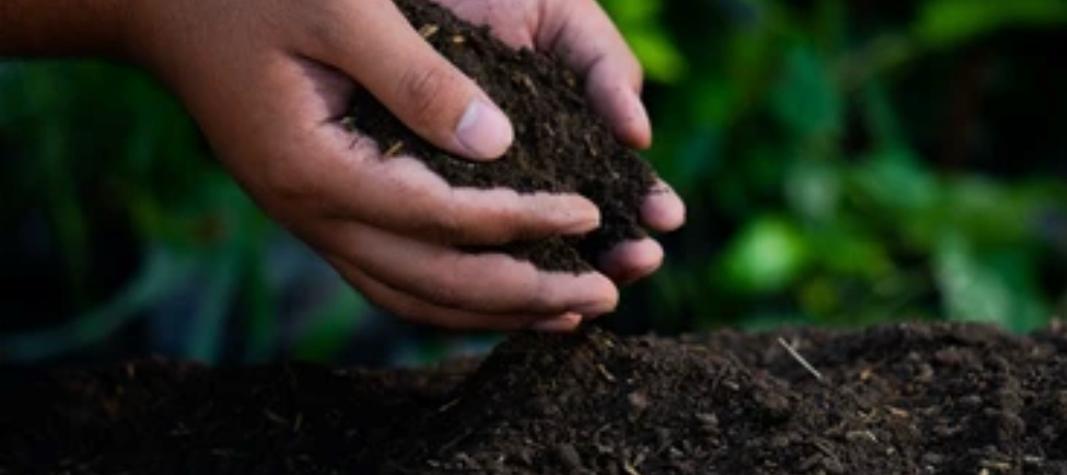 Malawi’s dirty soil problem — and the organic fix