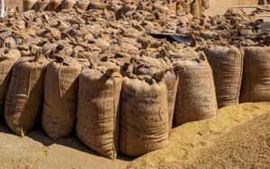 Tobacco glut returns: Malawi’s price fixing push risks deepening a predictable crisis