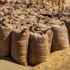 Tobacco glut returns: Malawi’s price fixing push risks deepening a predictable crisis