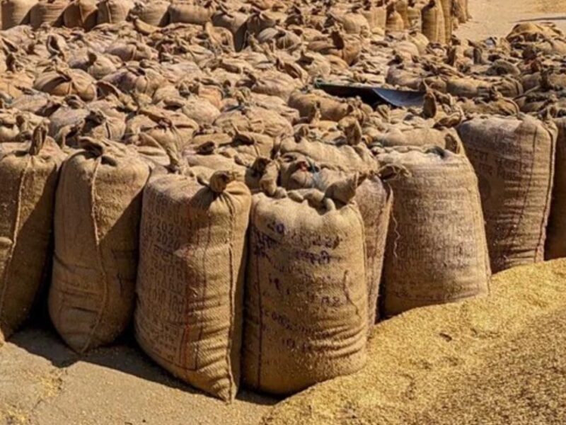 Tobacco glut returns: Malawi’s price fixing push risks deepening a predictable crisis