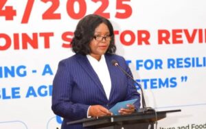 Image of Roza Mbilizi representing Tobacco surplus raises pricing fears as Mbilizi warns buyers