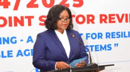 Tobacco surplus raises pricing fears as Mbilizi warns buyers