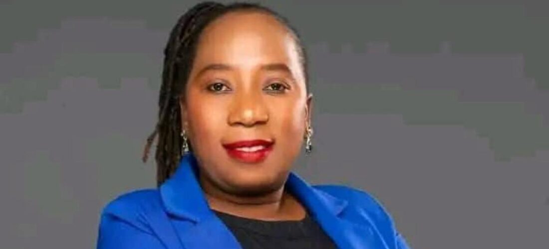 Malawi parliament urges energy diversification, investment to end chronic power crisis