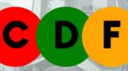 Malawi’s reformed CDF hires engineers, ties funding to Council performance