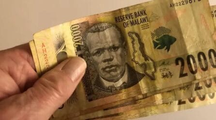 MEDF’s MK100bn question: Can Malawi’s latest loan push escape politics and patronage?