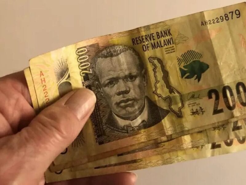 MEDF’s MK100bn question: Can Malawi’s latest loan push escape politics and patronage?