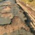 HRDC defends planned Karonga-Chiweta road protest as chiefs urge dialogue MediaGov