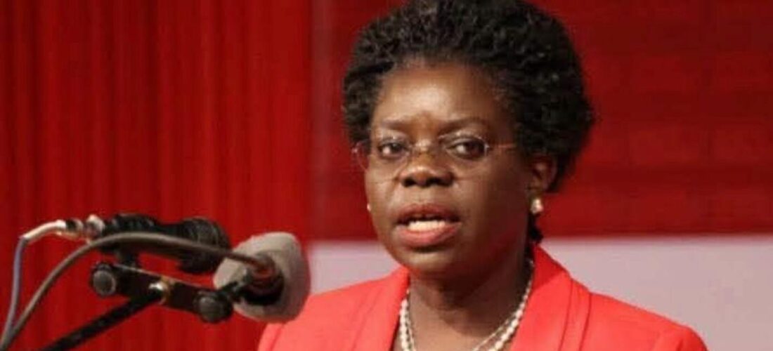 Colleen Zamba defends Chilima crash response, says government ‘did its best’