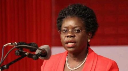 Colleen Zamba defends Chilima crash response, says government ‘did its best’