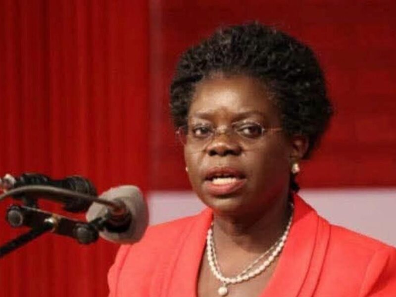 Colleen Zamba defends Chilima crash response, says government ‘did its best’