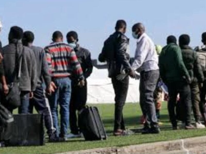 Repatriation bill climbs as Malawi MPs urge South Africa travel ban amid xenophobic violence