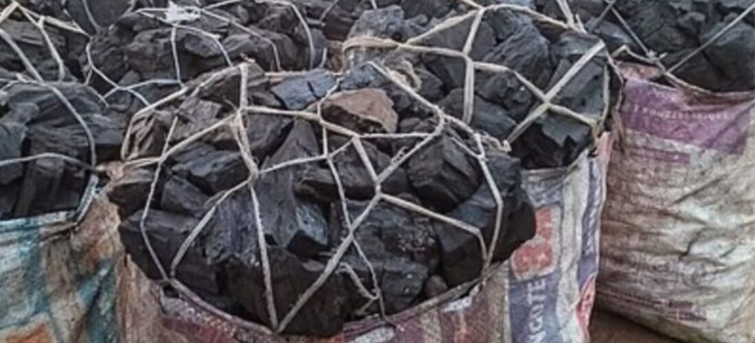 Malawi urged to scrap taxes on clean cooking technologies to reduce charcoal dependence