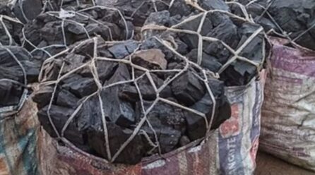 Malawi urged to scrap taxes on clean cooking technologies to reduce charcoal dependence