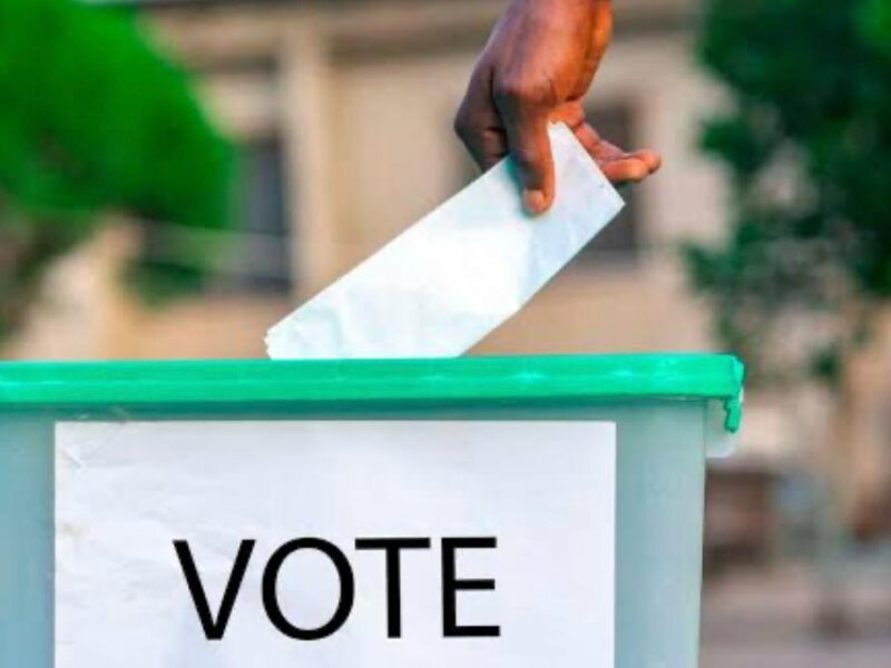 NAP backs Mutharika mandate as debate over age and fitness intensifies